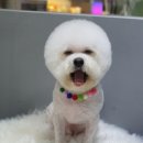 살롱3039 이미지