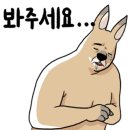돌돌부엌