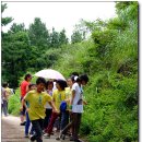 곽금초등학교 이미지