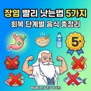 건강백세약국 | 장염 빨리 낫는법 5가지, 회복 단계별 음식과 절대 피해야 할 음식 총정리