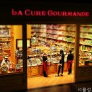 서울성모내과의원 네이버블로그