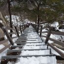 운악산 등산로 이미지