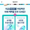 타겟) 배민클럽 6개월 이용권 + 5천원 할인쿠폰 이미지