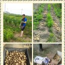 구산농장 이미지