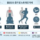 희룸 이미지