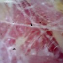 탄방메디칼 이미지