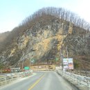 무릉도원면사무소 이미지