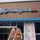 파란갈매기 이미지