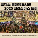 소소한작은행복도서관 | 2025 삼성 서울 코엑스 별마당도서관 크리스마스 트리 (일정/포토존/팁 총정리)