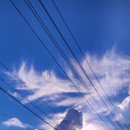 거랑시울 이미지