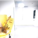 나만의 퍼스널컬러 진단 이미지