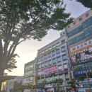 그대고운뷰티