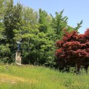 은행나무길카센터 이미지