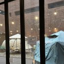 경기도 수원시 영통구 신원로 | [내돈내산] 수원 영통 베이콜로지 빵학개론 방문 후기