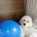 멍스타일 (멍Style) 이미지