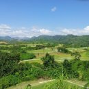 화산골프클럽 이미지