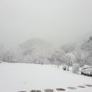 하백의정원 이미지