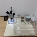 오티콘보청기대전대덕점 이미지