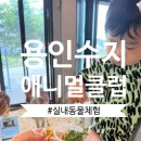 새들노래방 | 용인 아기랑 가볼만한 곳 애니멀클럽 수지점 내돈내산 후기｜실내 동물체험 추천