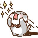 1군족발 이미지