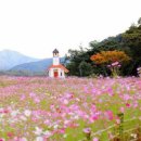 무궁화수목원 이미지