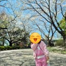 온양민속박물관 | 아산 아이랑 주말 나들이 추천 온양민속박물관 후기