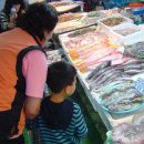 엄마수산 이미지