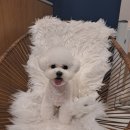 예쁜미용 이미지