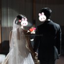 더하루 | 본식 촬영 찐만족 이유! 더컨벤션 송파문정 하루그라피 후기