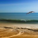 한주행정사 이미지