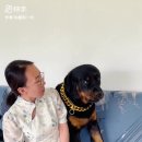 새댁 이미지