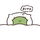 간단 후기 모음집