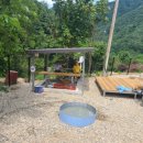 김가네구가네 이미지