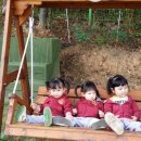 너울농장 이미지