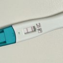 리솜한방병원 | 둘째 임신기록