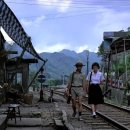 연연풍진 이미지