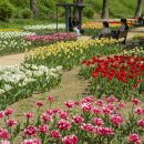 용비쉼터 이미지