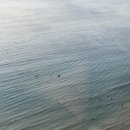 일출약국 이미지