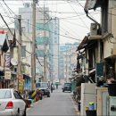 선화초교 이미지