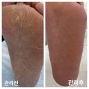 레푸스 금호점