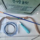 선사랑 놀자 이미지