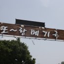 또랑메기 이미지