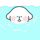 별빛 애견호텔 이미지