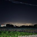제주도 안덕면 사계흑돼지 방문후기