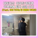 명품방역업체 이용 아파트 좀벌레 하루만에 퇴치 성공 후기 (Feat. 아이 키우는 집 좀벌레 위해성)