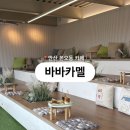 바바나무 | 안산 본오동 카페 추천 방문 후기 | 바바카멜