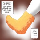 오월,봄 이미지
