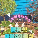 솔잎펜션 1 | 가족끼리 놀러 가기 좋은 프라이빗 궁평항독채펜션, 궁평항 아이조아펜션 후기!