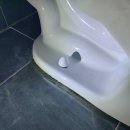 무궁화경남 이미지