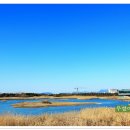 을숙도 생태공원 이미지